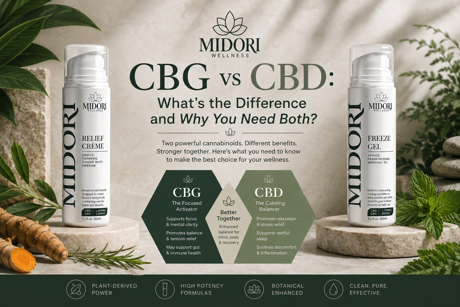 CBG vs CBD: What's the Difference and Why You Need Both?